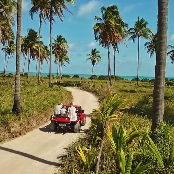 Trilhas do Patacho Trilhas do Patacho